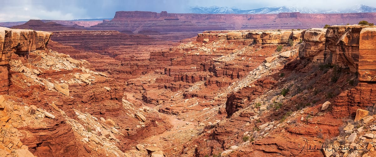 View into Canyonlands National Park from White Rim Road