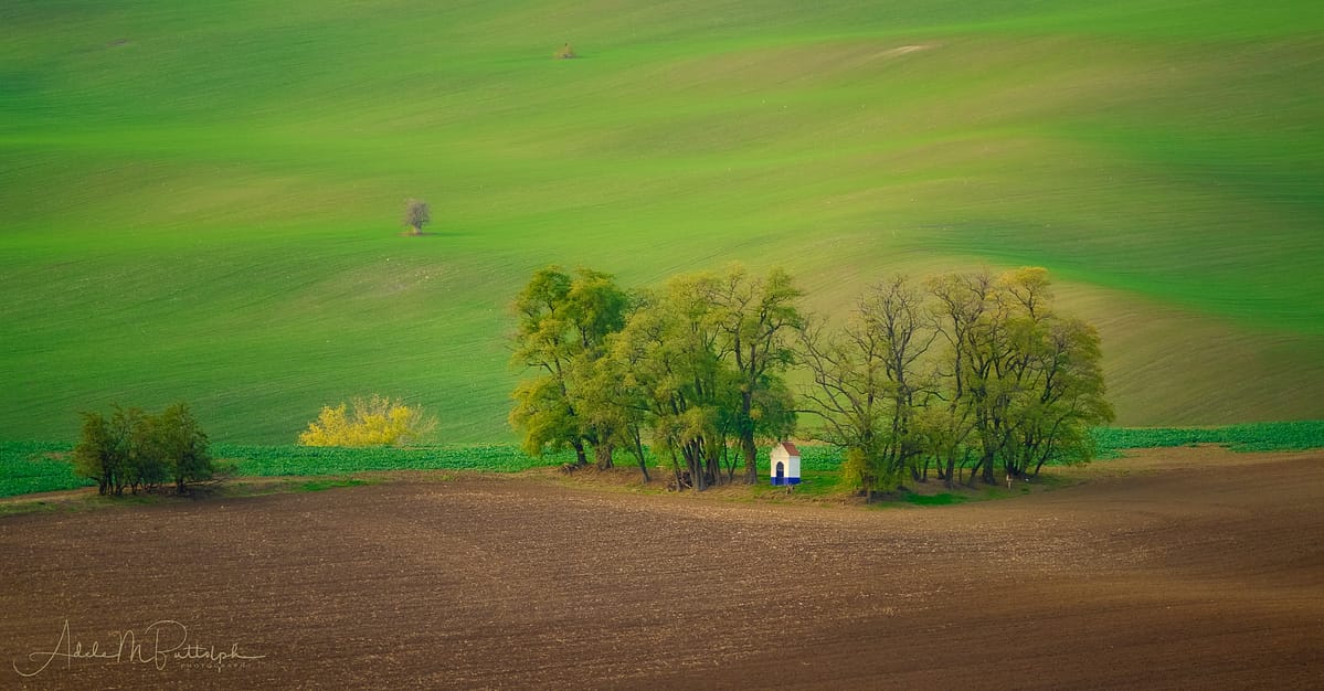 Saint Barbara Chapel sits in a grove of trees, Moravia, Czech Republic.
